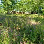 2 - Domaine Des Landes Camping