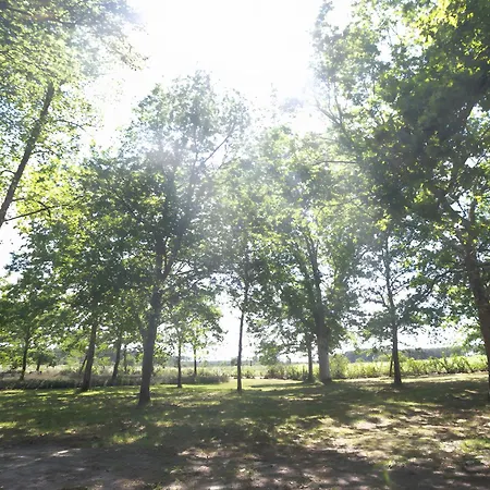 Campsite 2 - Domaine Des Landes