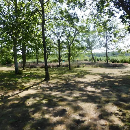 2 - Domaine Des Landes Campsite Lesperon (Landes)