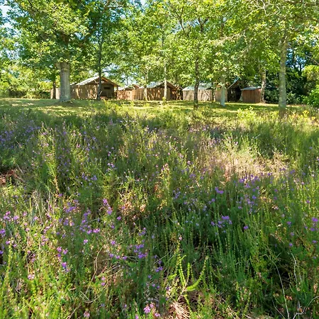 2 - Domaine Des Landes Campsite Lesperon (Landes)
